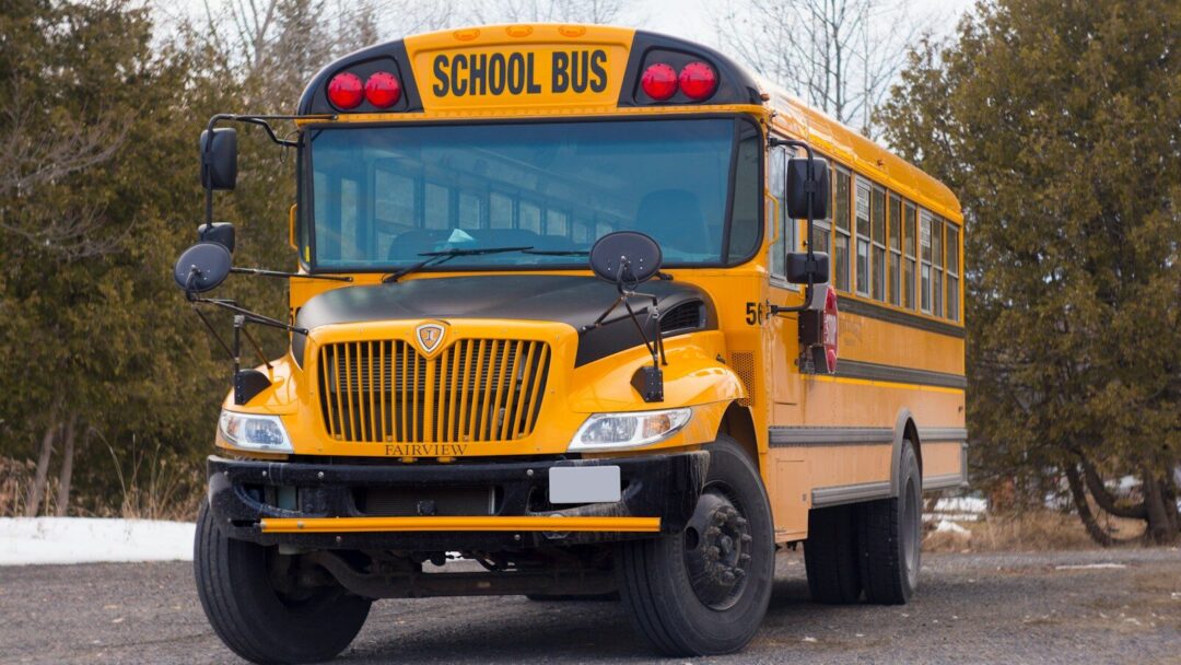 Hiring: Cortez Bus Driver